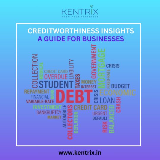 Word cloud highlighting financial terms like 'debt,' 'loan,' 'risk,' and 'collection,' related to creditworthiness for businesses.