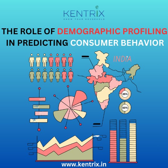 Visual representation of demographic profiling in India, showcasing data-driven consumer behavior insights and analytics by Kentrix.